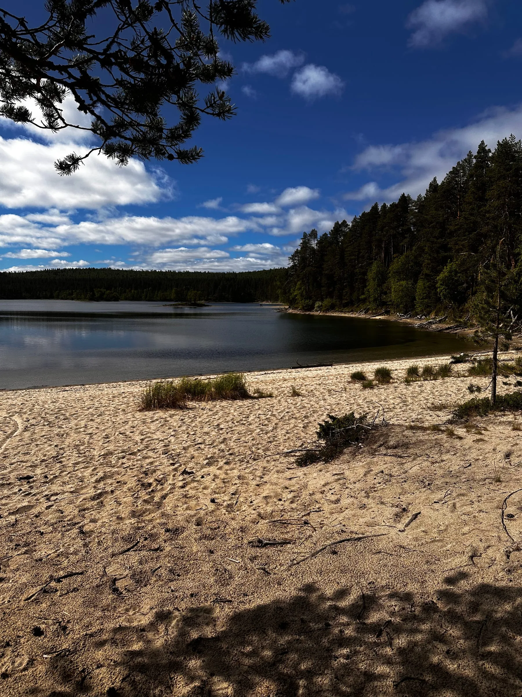 Tyyni hiekkaranta ja metsänreuna heijastuvat peilityyneen järveen